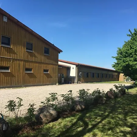 Kustenpferde Boltenhagen * Boltenhagen (Ostseebad)