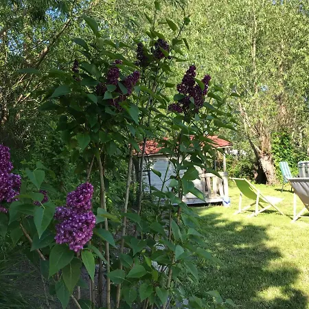 Kustenpferde Boltenhagen Boltenhagen (Ostseebad)