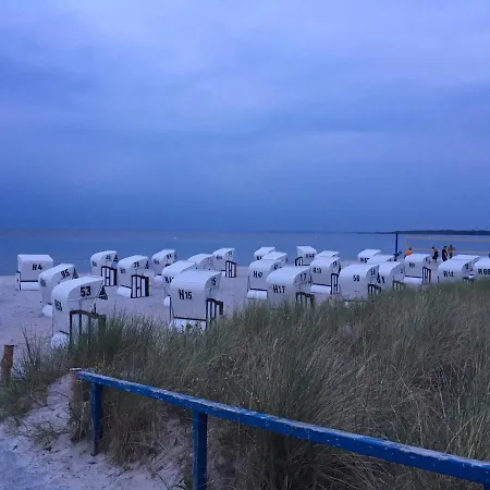 Kustenpferde Boltenhagen * Boltenhagen (Ostseebad)